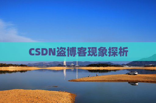 CSDN盗博客现象探析
